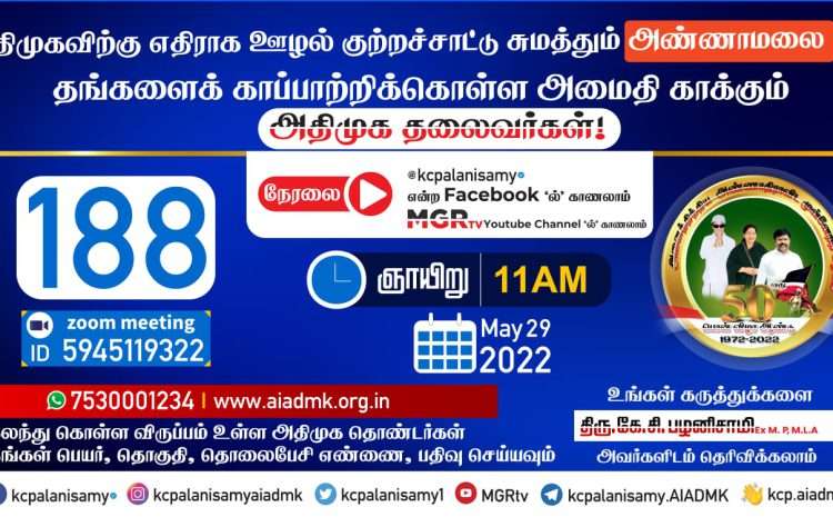  Zoom Meeting  – 29th May 2022