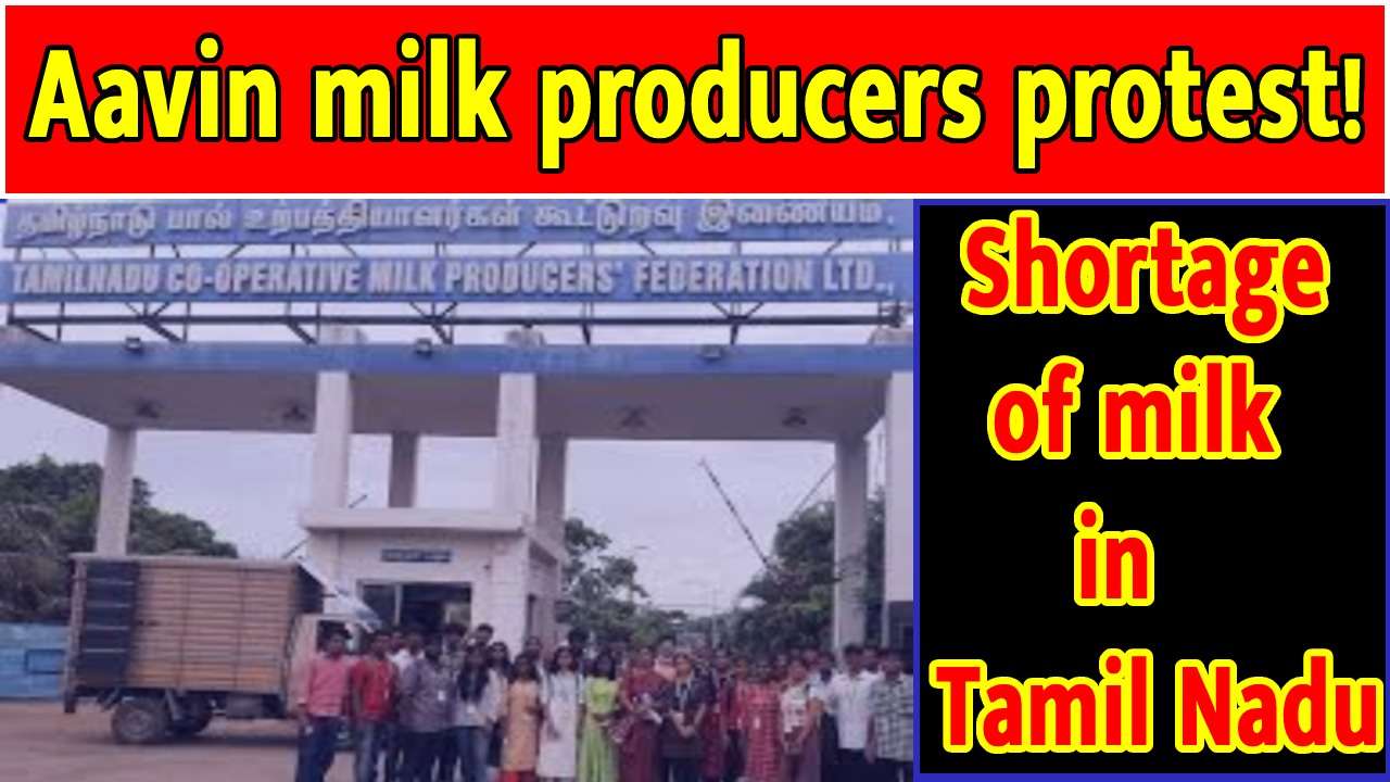 Aavin milk producers protest! Shortage of milk in Tamil Nadu