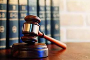 HC seeks TN response on steps to curb stray cattle menace